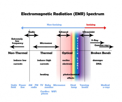 b2ap3_thumbnail_EMR-Spectrum.jpg